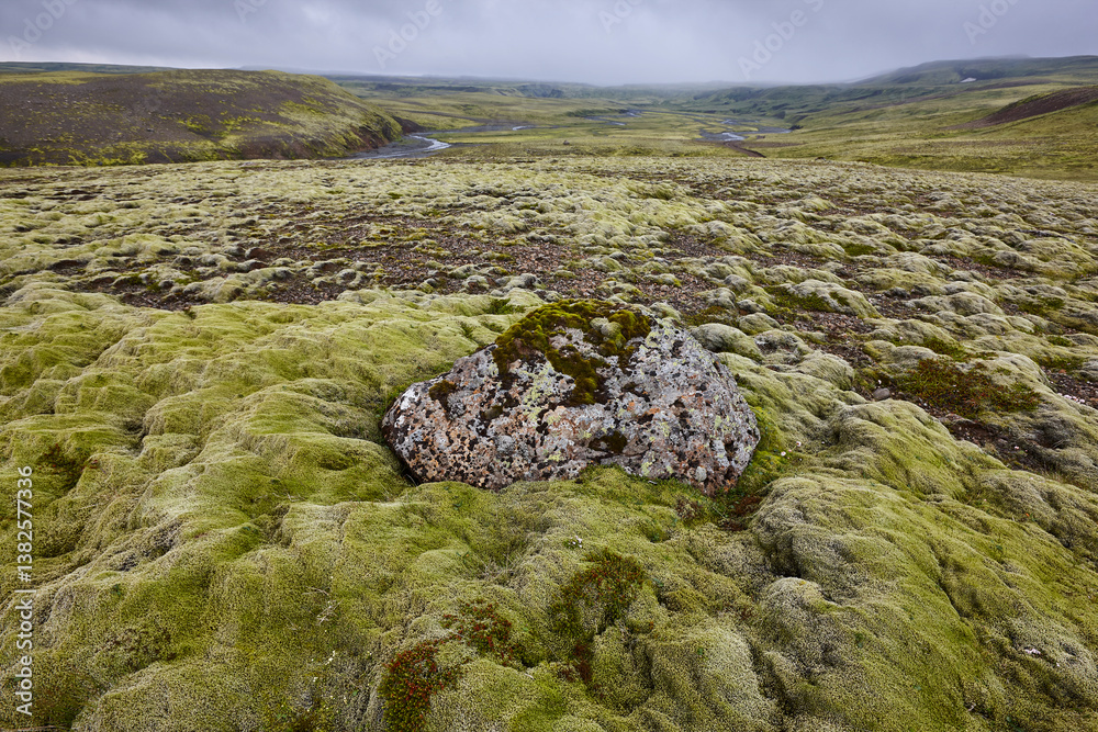 Mossy landscape and river in Lakagigar. Volcanic area. South Iceland