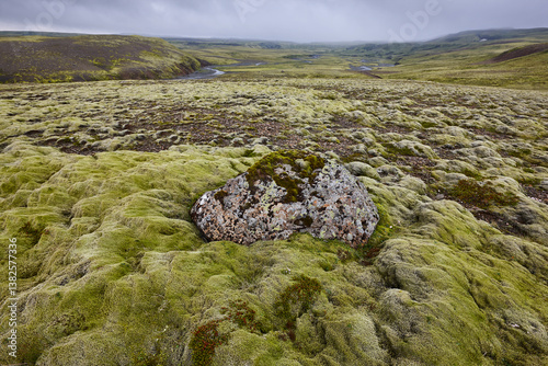 Mossy landscape and river in Lakagigar. Volcanic area. South Iceland