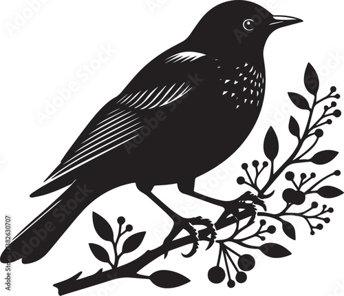 Blackbird