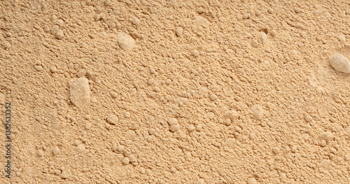 Wallpaper Mural Maca powder texture background, dry Peruvian ginseng powder pattern, ground ayak willku Torontodigital.ca