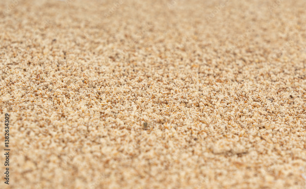 Milk thistle seeds powder, crushed silybum marianum grains pile, milled dry blessed milkthistle Milk thistle seeds powder, crushed silybum marianum grains pile, milled dry blessed milkthistle