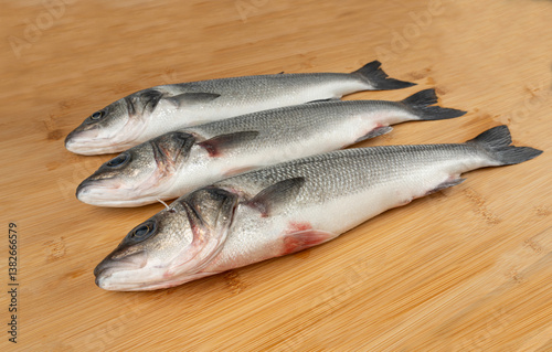 European seabass or Dicentrarchus labrax, whole raw labrax, branzino fish, European bass