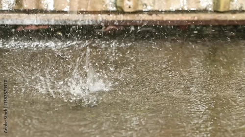 fountain in the park