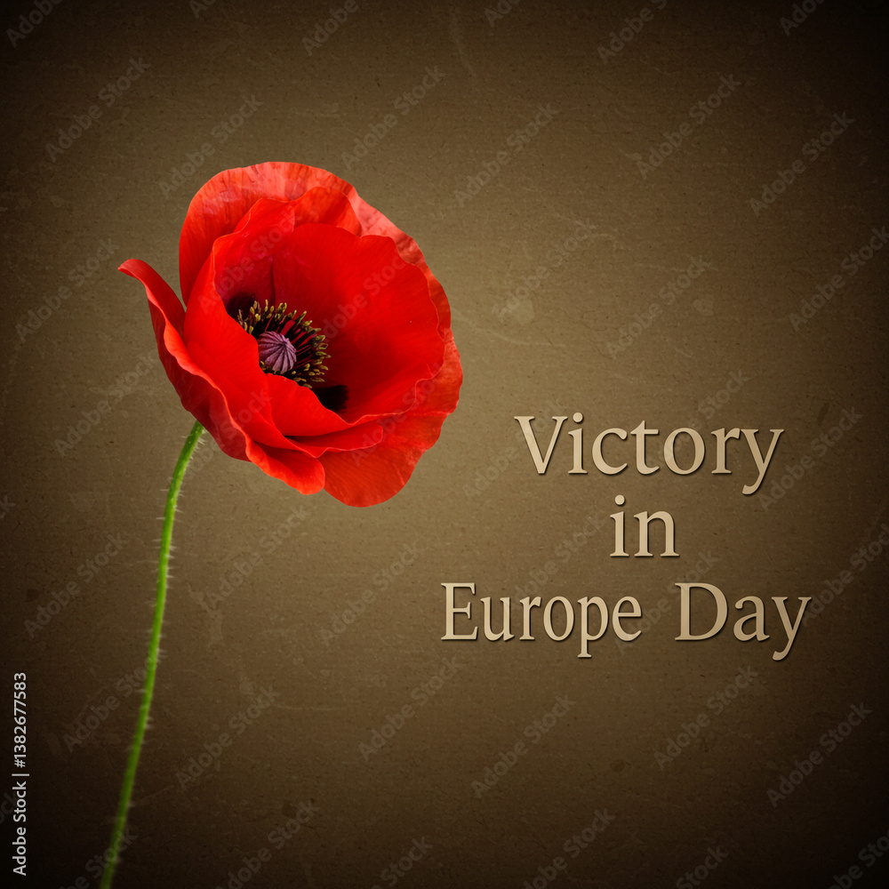 Red Poppy with Victory in Europe Day Text on Vintage Background