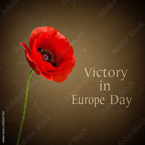 Obraz na płótnie Red Poppy with Victory in Europe Day Text on Vintage Background w salonie