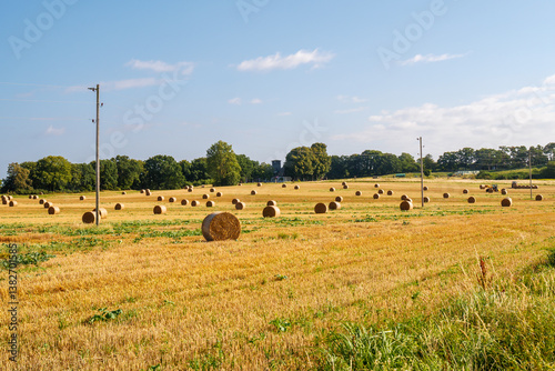 Rolling landscape with round grass bales drying in fields and electricity poles and wires, Reddevitzer Höft peninsula, Mönchgut, Rügen, Germany