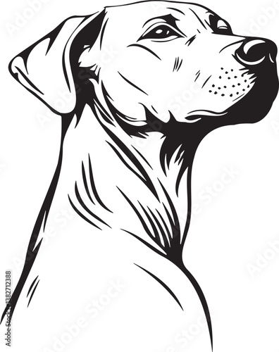 Canvas-taulu vector image of a Rhodesian Ridgeback dog