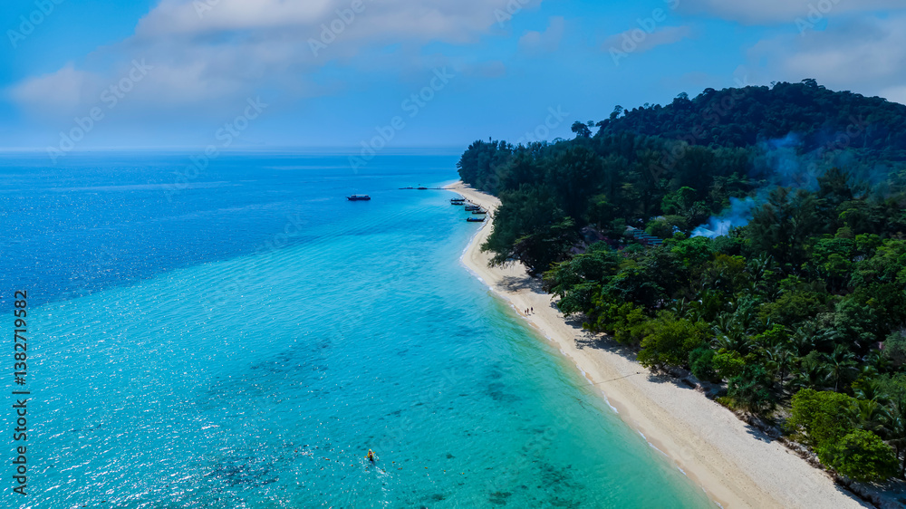 Fototapeta premium Aerail view of green forest and the sea. natural ecosystems of forests and oceans. concept of natural forest conservation