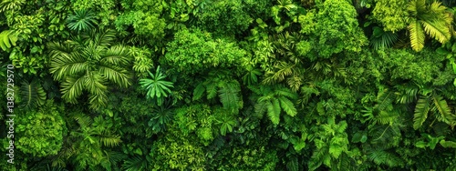 Lush Green Tropical Foliage Background for Nature and Design Projects