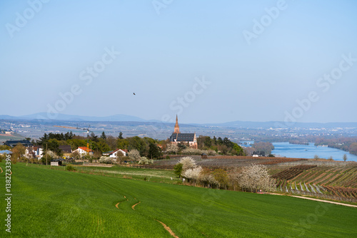 Obraz na płótnie Rochusberg, April 2025 w salonie