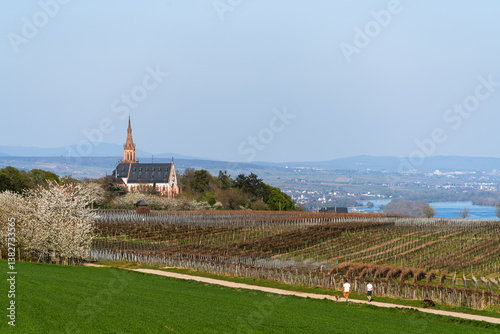 Rochusberg, April 2025