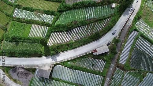 Beautiful layers of paddy fields with rice in the Yogyakarta countryside
