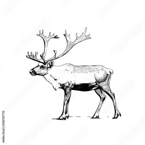 Caribou minimalist flat illustration, featuring a clean design isolated on a white background.

