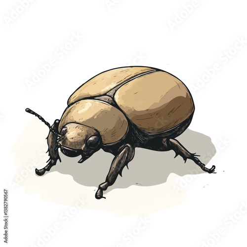Dung beetle minimalist flat illustration, featuring a clean design isolated on a white background.

