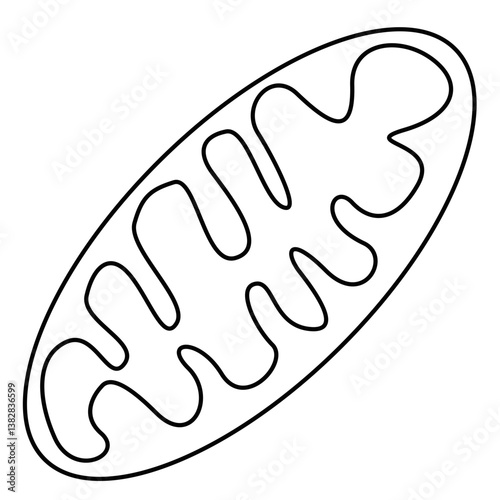 Mitochondria outline Icon Illustration