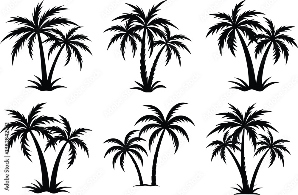 Fototapeta premium plam tree silhouette on white background