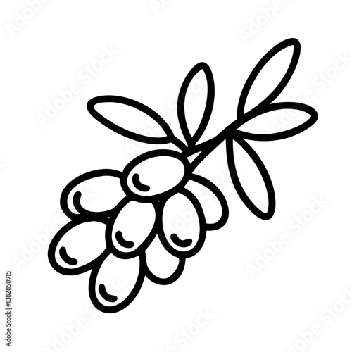 sea buckthorn vector icon, simple black outline line icon of sea buckthorn, fruit vector line art icon