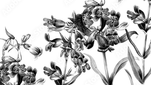 A romantic black and white floral clip art cutout featuring delicate petals and subtle greenery, designed on a transparent background. Valentine-themed designs