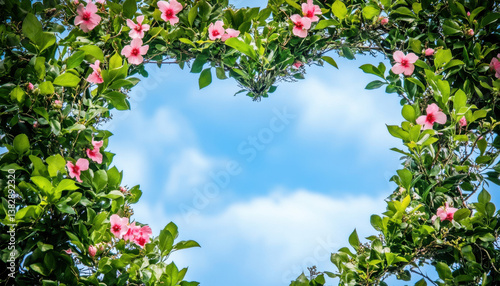 A heart-shaped wreath composed of lush green leaves and vibrant pink flowers frames a clear blue sky, enhancing the beauty of the garden