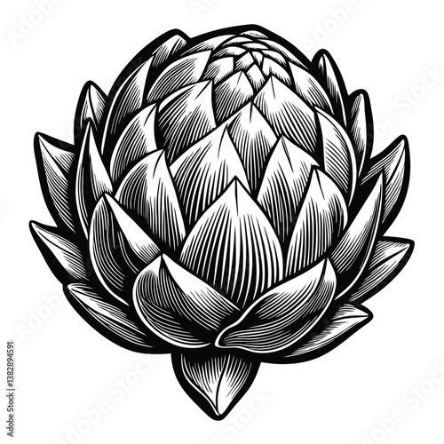 an organic, healthy plant artichoke with intricate layers of leaves silhouette vector illustration isolated 