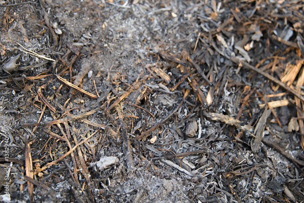 Burnt ground with ash and debris from a recent fire Burnt ground with ash and debris from a recent fire