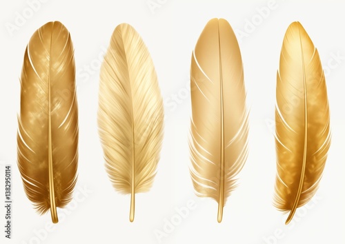 gold blue green blue purple feather