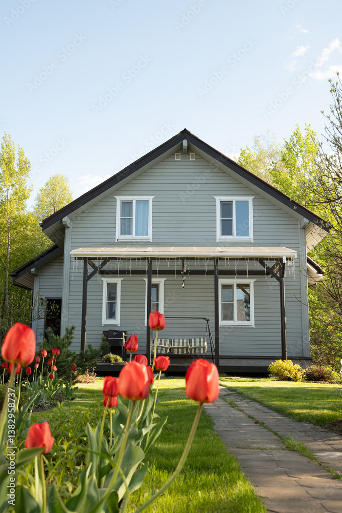 Cottagecore contemporary two-story house of timber in countryside in spring with tulips. Russian dacha in Moscow region. Backyard and traditional relax gardening.