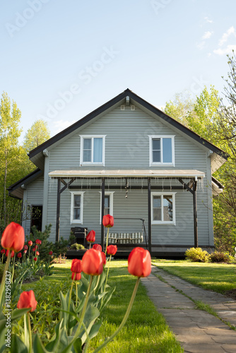 Obraz na płótnie Cottagecore contemporary two-story house of timber in countryside in spring with tulips. Russian dacha in Moscow region. Backyard and traditional relax gardening. w salonie