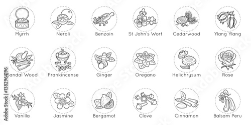 Perfume icon. Aromatic herbs. Vetiver fragrance note. Floral musk. Amber aroma. Scent heart line. Pyramid fruity. Oriental sandal. Woody ingredients. Circle symbols. Vector aromatherapy pictograms set