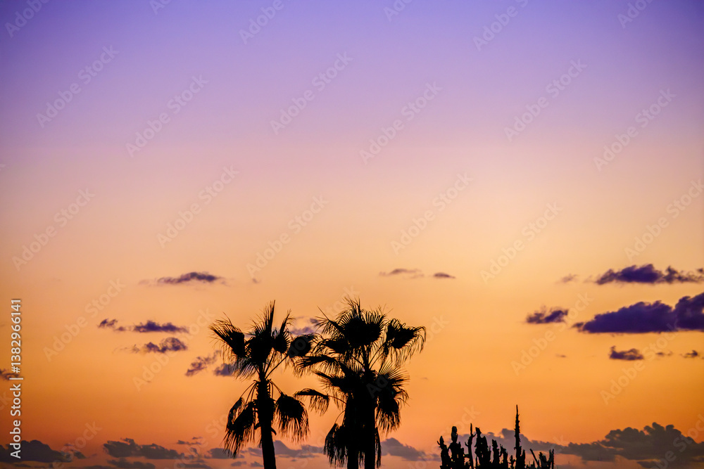 Silhouetted palm trees against a vibrant twilight sky, capturing the essence of a tropical evening. Dusk Sky (Sunset) in Menorca, Spain