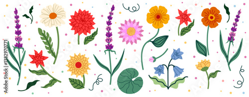 Flowers set. Chrysanthemum, lavender and lotus. Chamomile and aster. Spring summer bight colorful botanical elements. Elegant creative flora, vector cartoon flat isolated blossom illustration set