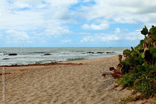 Tropical beach in open wde space, calm sea waters, small  waves and reef rocks. Empty snead and some green vegetaion on the shore. Coqueiros beach, close Joao Pessoa, city, Brazilian northeast.