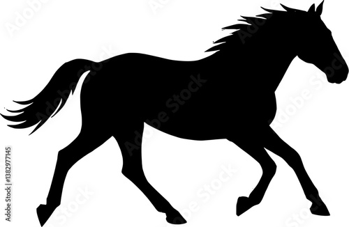 horse silhouette isolated on white