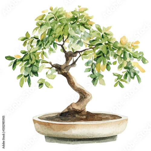 A watercolor painting of a tamarind bonsai, isolated on a white background. Tamarind bonsai vector

