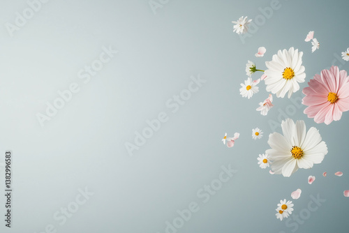 Flowers falling on light grey background. Minimal spring soft background.