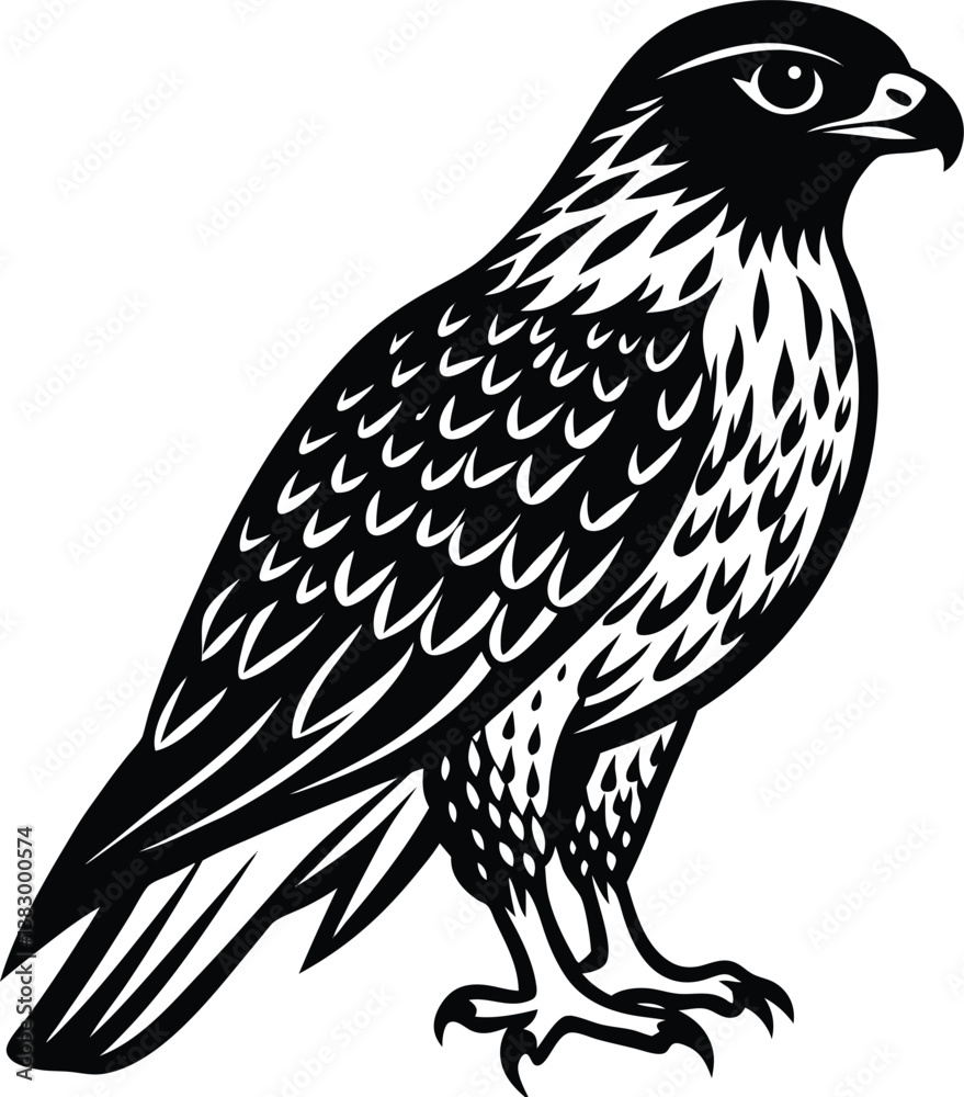Fototapeta premium Beautiful black Hawk Bird vector silhouette art this is an editable and printable vector eps file