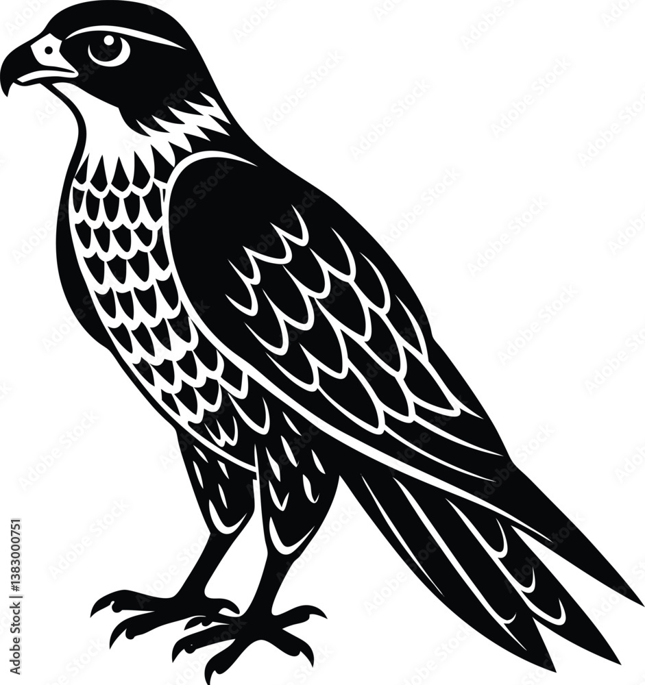 Fototapeta premium Beautiful black Hawk Bird vector silhouette art this is an editable and printable vector eps file