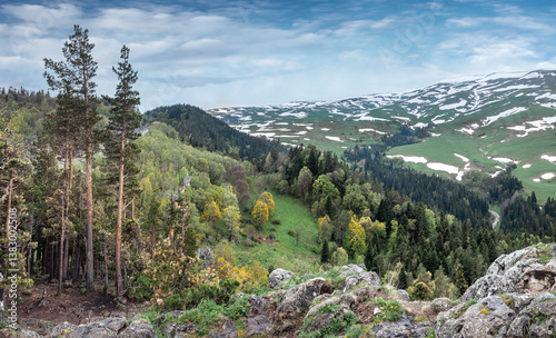Forest on the mountain slopes of the Lago Naki plateau, Krasnodar Krai, Republic of Adygea. photo