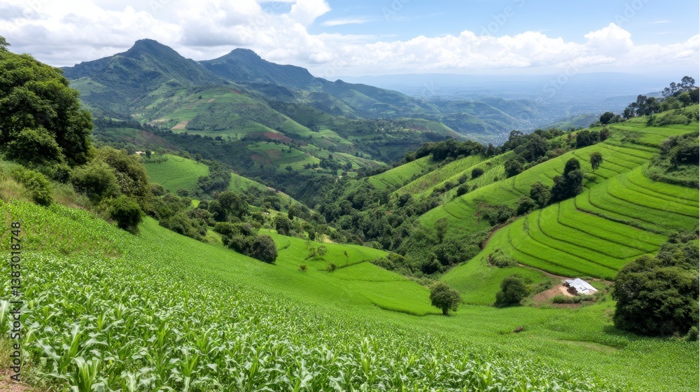 Rolling green hills and mountains under a partly cloudy sky, agricultural fields are visible. Rolling green hills and mountains under a partly cloudy sky, agricultural fields are visible.