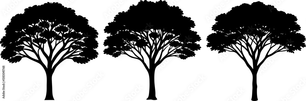 Fototapeta premium Acacia tree vector collection & Set of tree silhouette vector designs