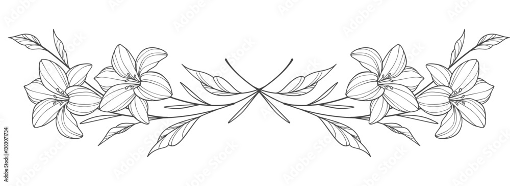 Fototapeta premium Flower outline on transparent background vector. floral, flowers, leaves, foliage, branches in hand drawn. Floral element design