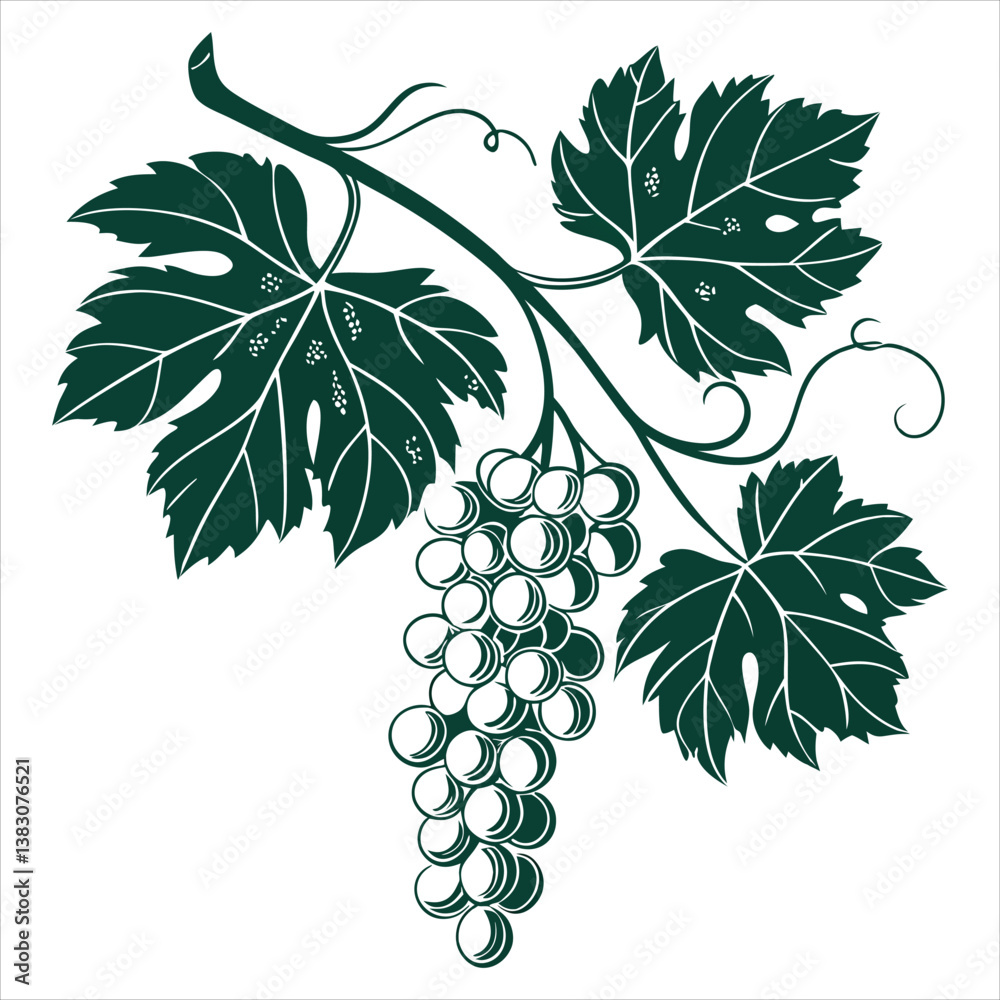 Obraz premium silhouette Grapes Fruit Icon on the white background