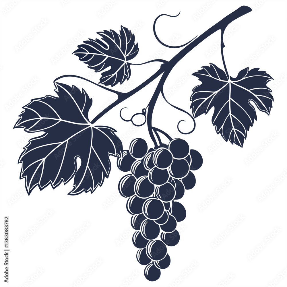 Obraz premium silhouette Grapes Fruit Icon on the white background