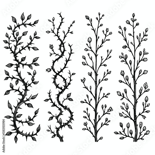 Set of twigs, branches of leaves. Seamless doodle floral pattern. Hand drawn Botanical drawing. Detailed line art of twigs and thorns vine illustration. Outline Simple Stylized Art