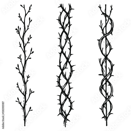 Set of twigs, branches of leaves. Seamless doodle floral pattern. Hand drawn Botanical drawing. Detailed line art of twigs and thorns vine illustration. Outline Simple Stylized Art