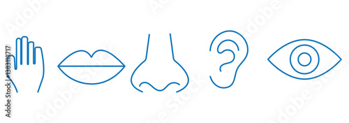 Five human senses editable stroke outline icons set isolated on white background flat vector illustration. Pixel perfect.