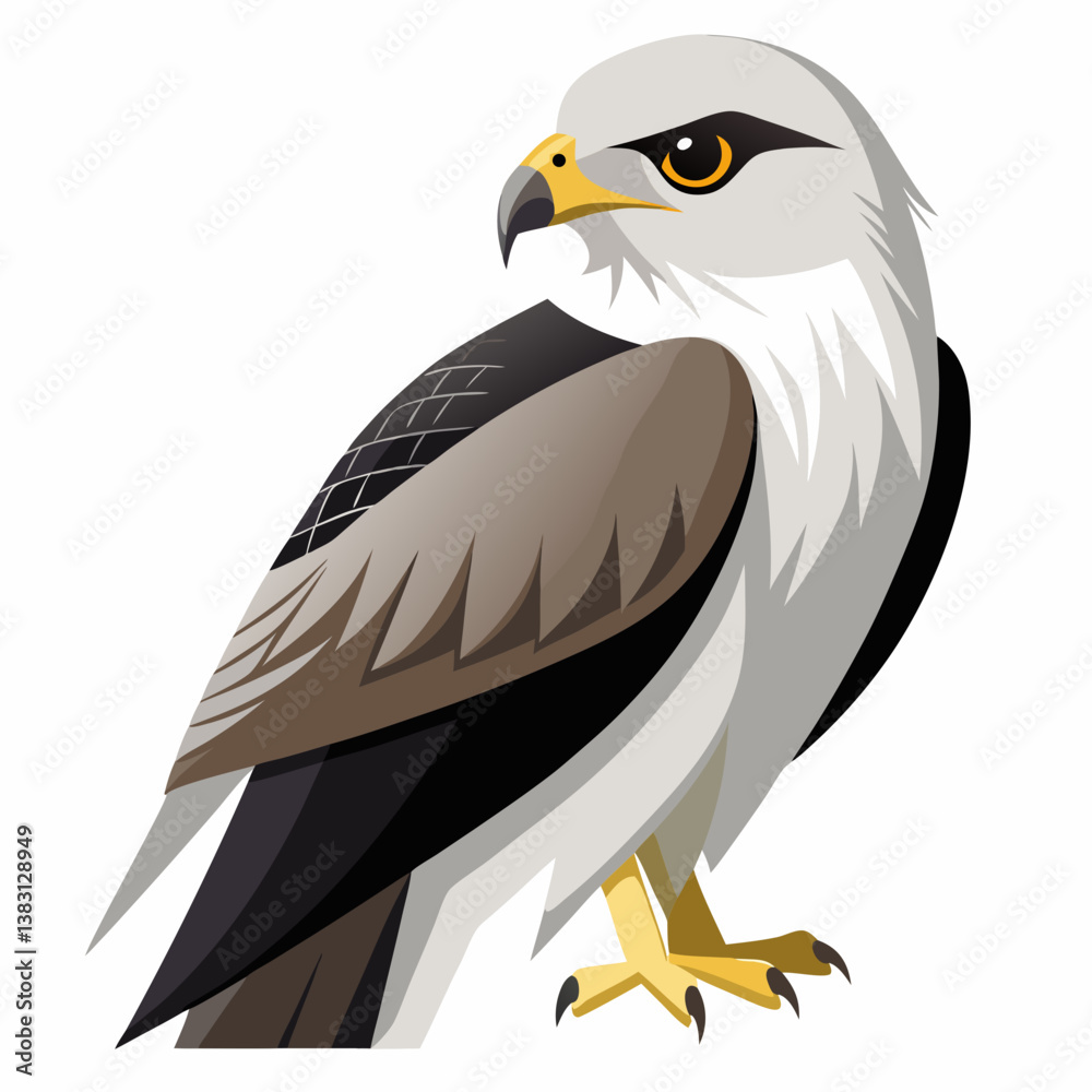 Fototapeta premium eagle on a branch