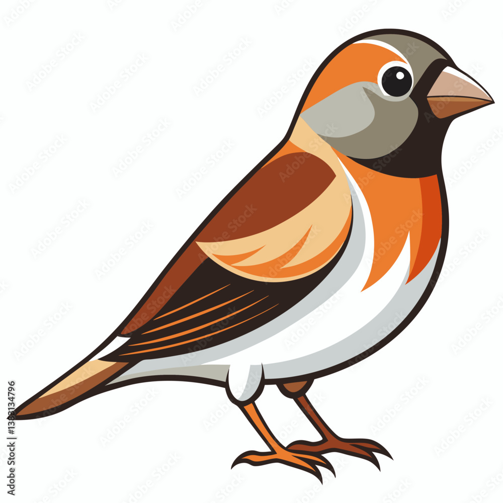 bird on a branch bird on a branch
