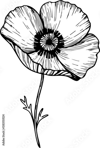 Honoring heroes memorial day flower tribute outdoor ceremony artistic display nature's beauty close-up view remembrance concept