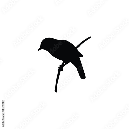 Bird silhouette